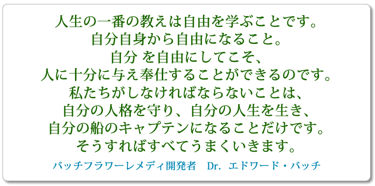 私はNLPを人が自分自身を自由にするために創った。自分を自由にすることができれば毎瞬毎瞬を愛のために生きることができる。自由がすべてであり、残りのすべてが愛である。